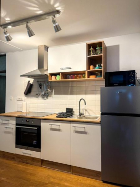 Spacious Cozy apartment